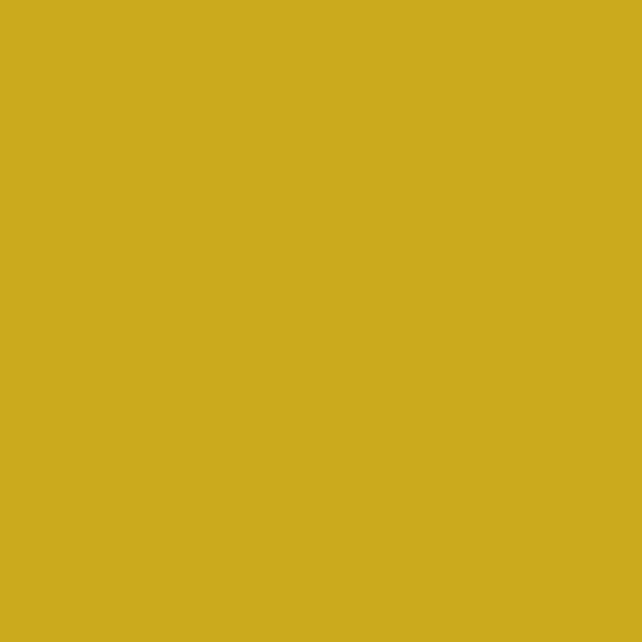Divine Pigments - Yellow Gold