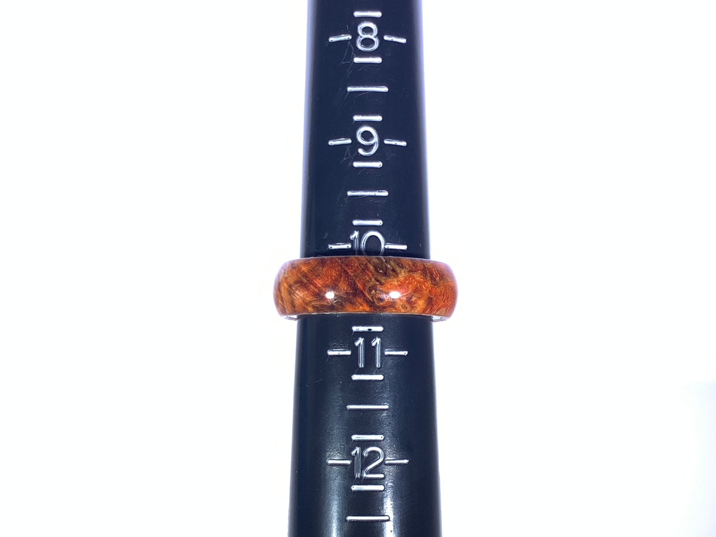 Ring / 8mm Stainless Steel - Wood / Stabilized Dyed Big Leaf Maple - Size 10 1/2