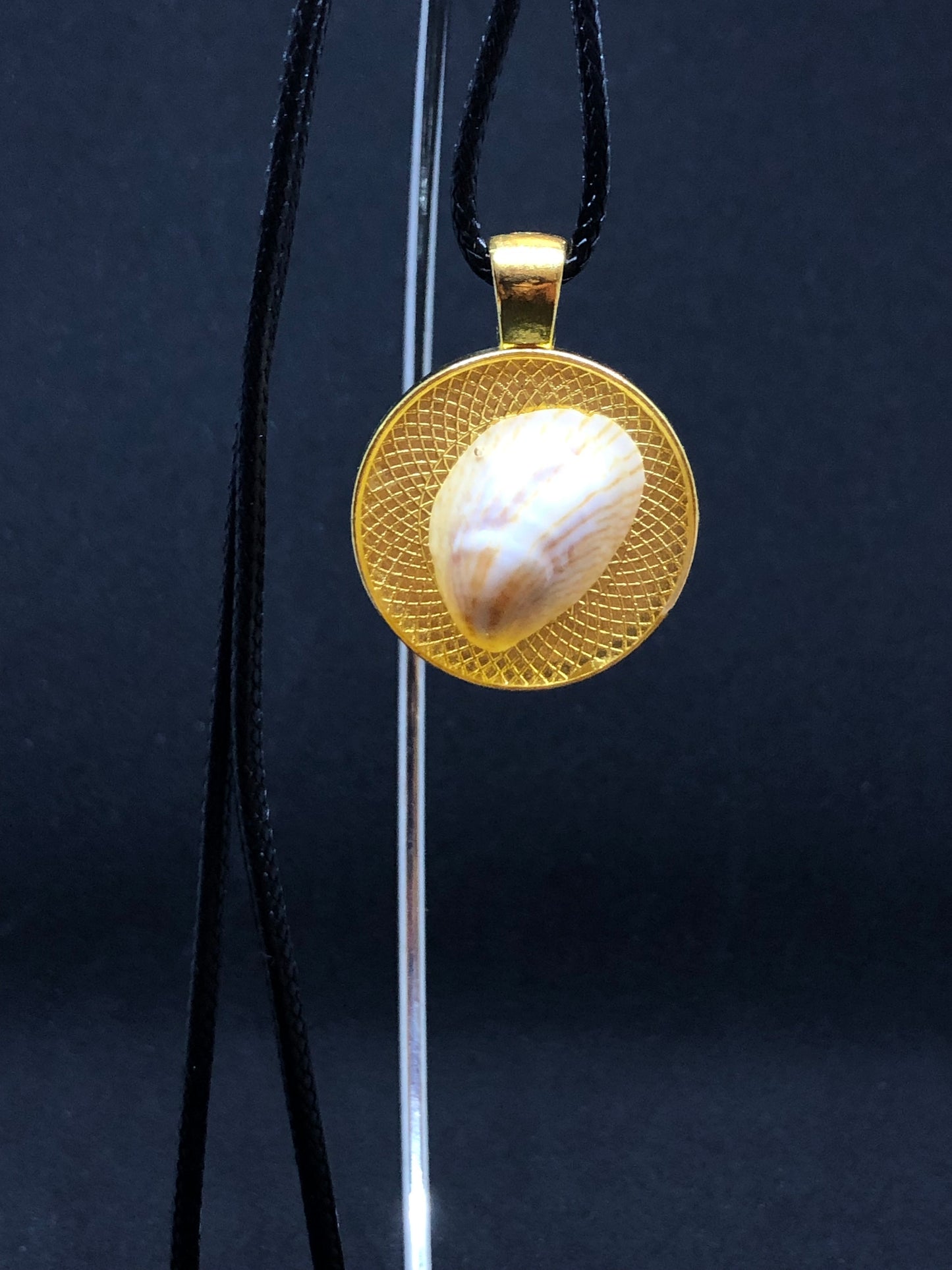 Seashell / Gold Pendant - Black Cord Necklace
