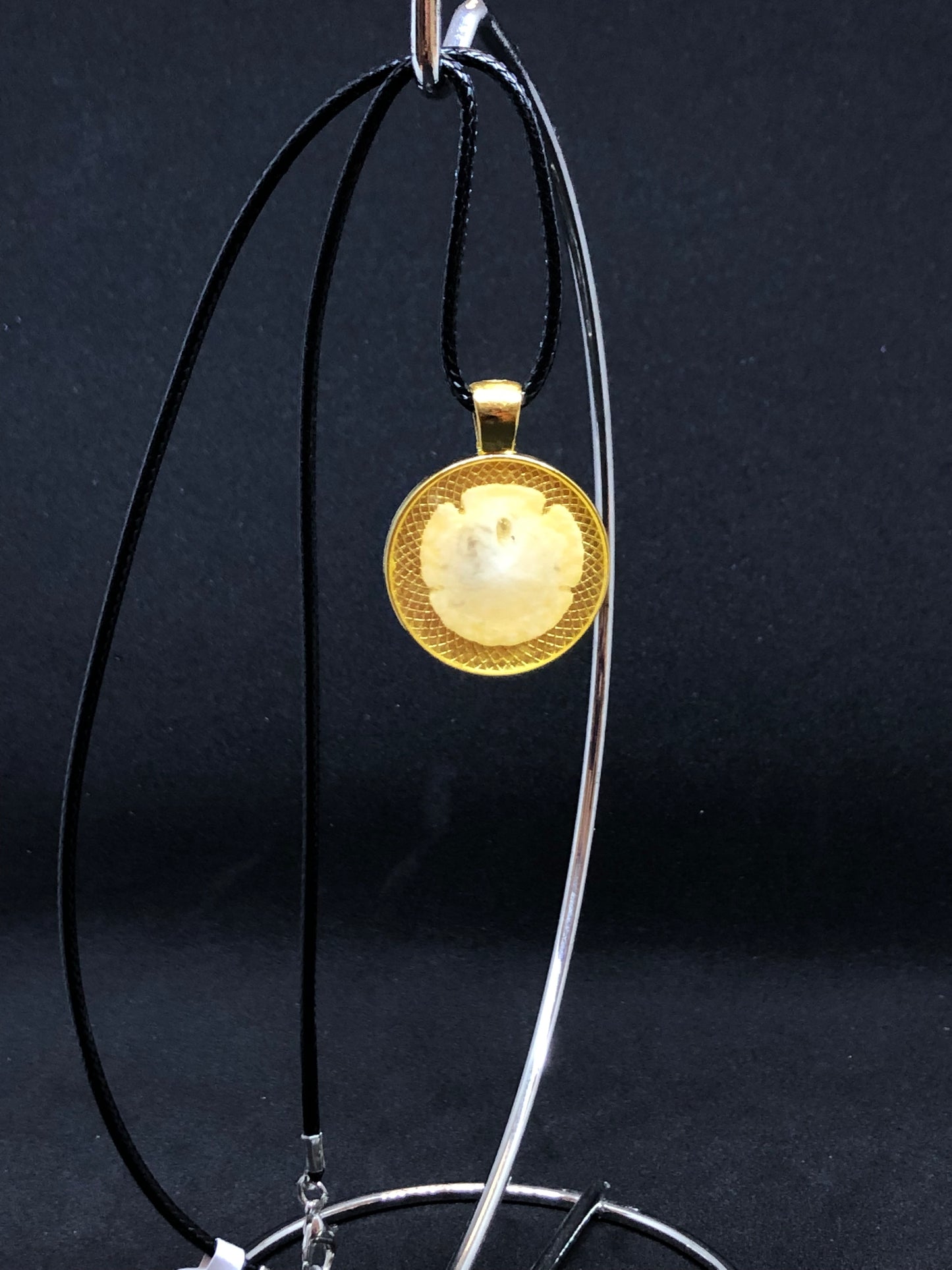 Sand Dollar / Gold Pendant - Black Cord Necklace