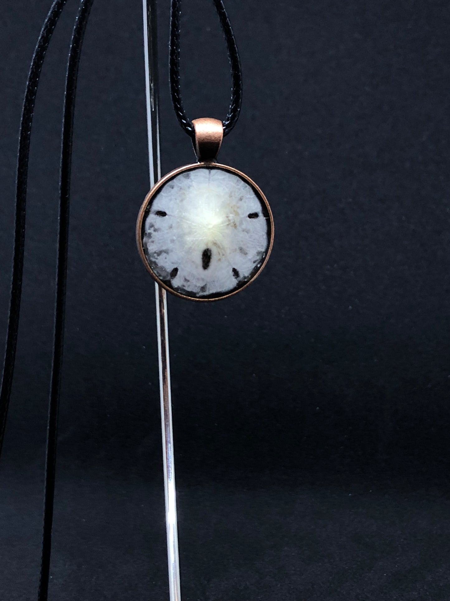 Sand Dollar / Antique Bronze Pendant - Black Cord Necklace