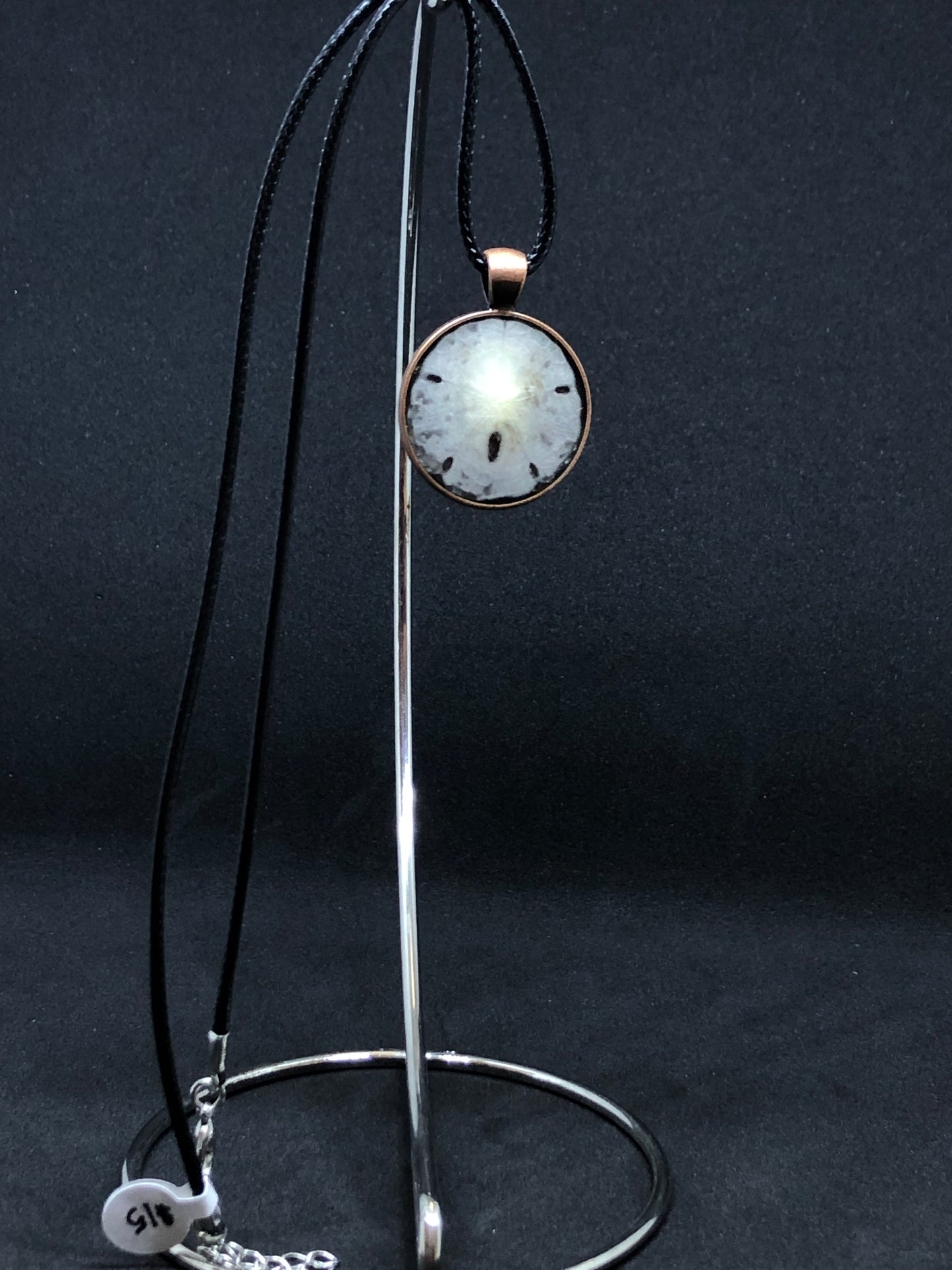 Sand Dollar / Antique Bronze Pendant - Black Cord Necklace