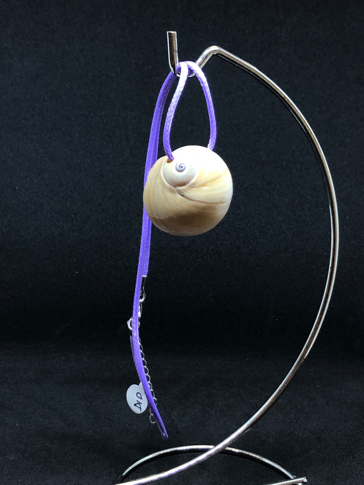 Medium Seashell - Purple Cord Necklace