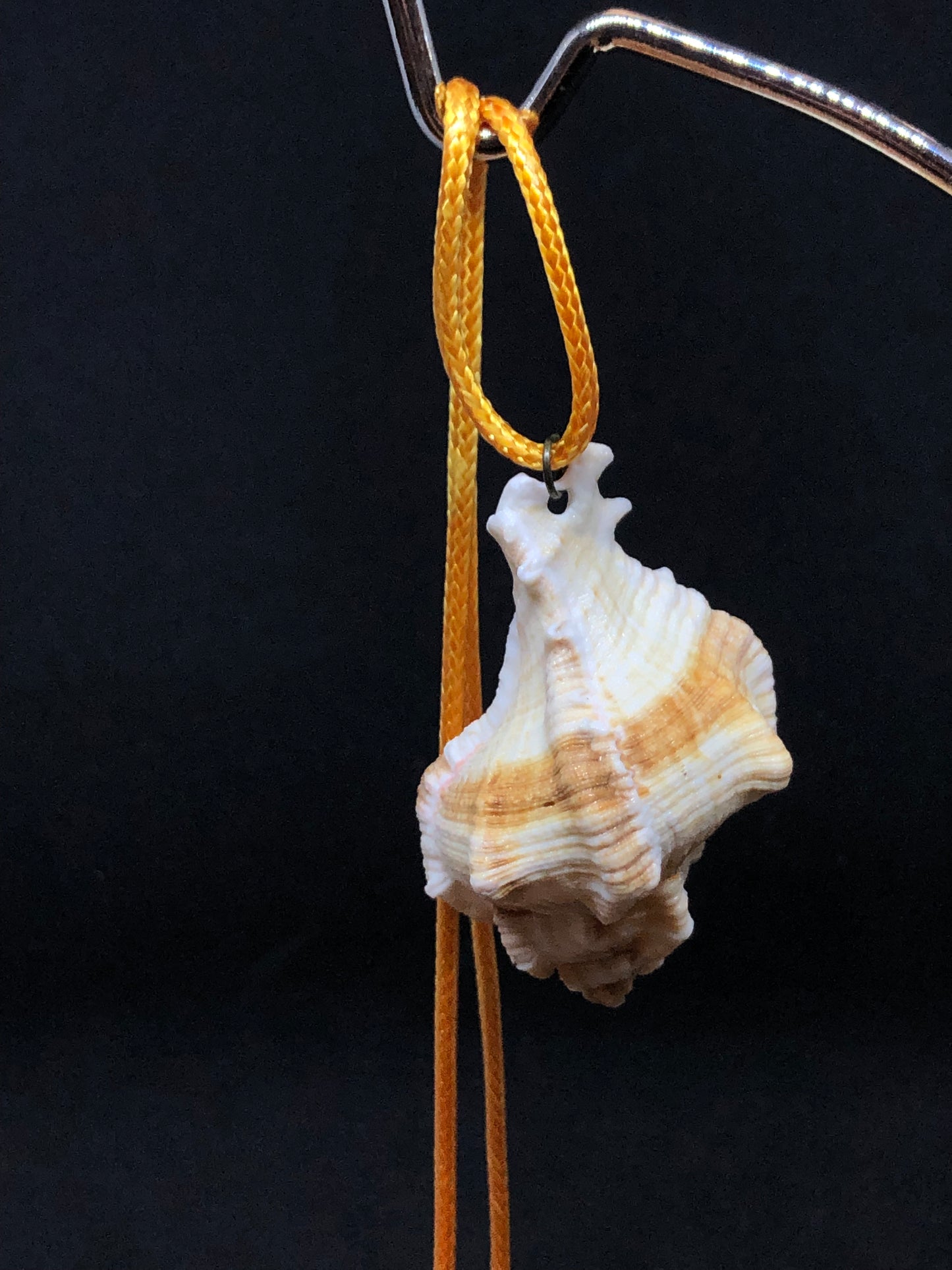 Medium Seashell - Orange Cord Necklace