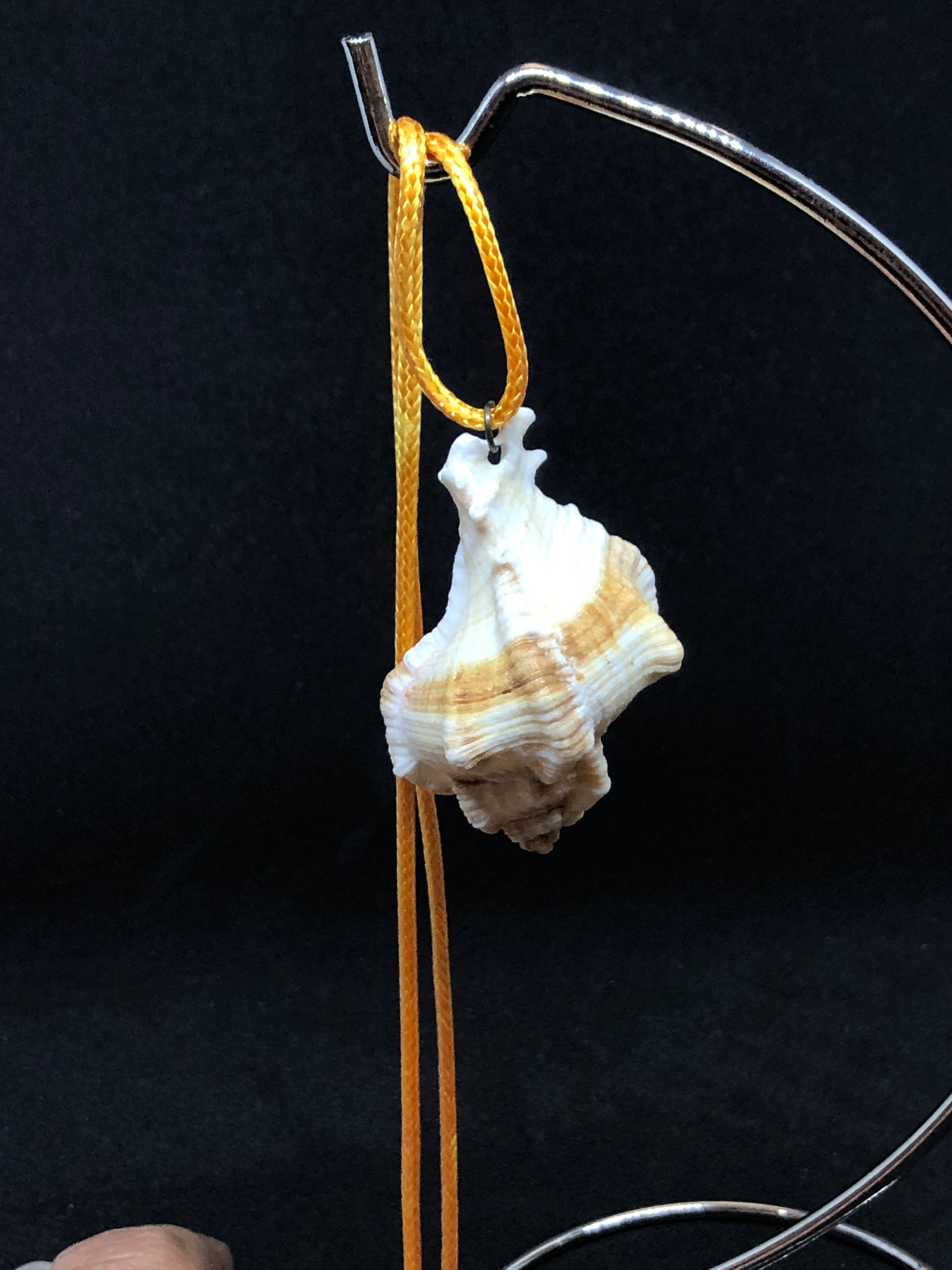 Medium Seashell - Orange Cord Necklace