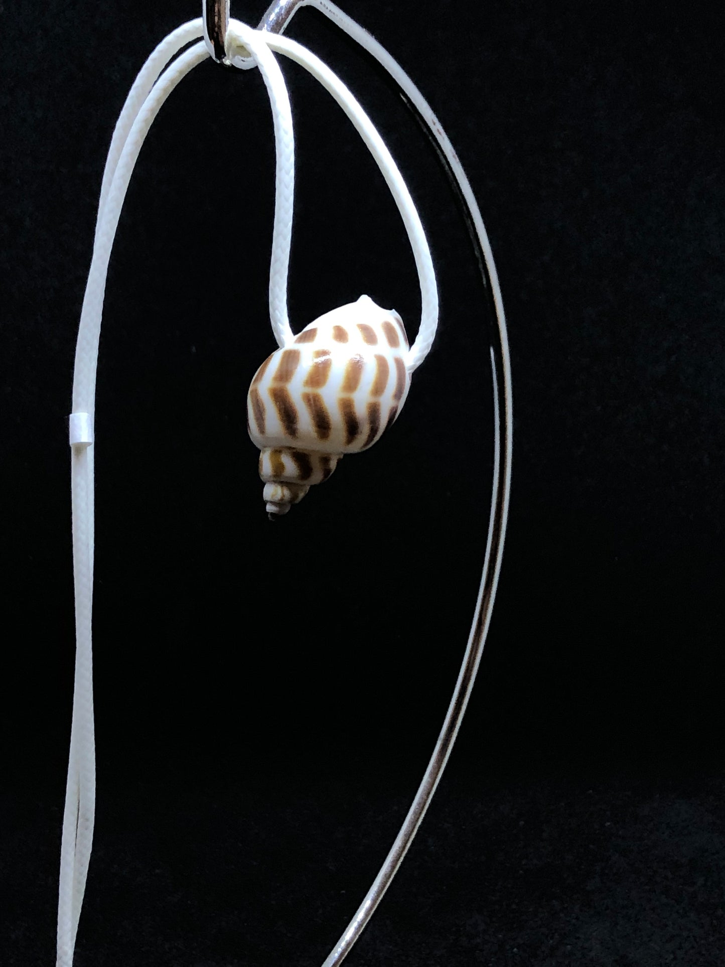 Medium Seashell - White Cord Necklace