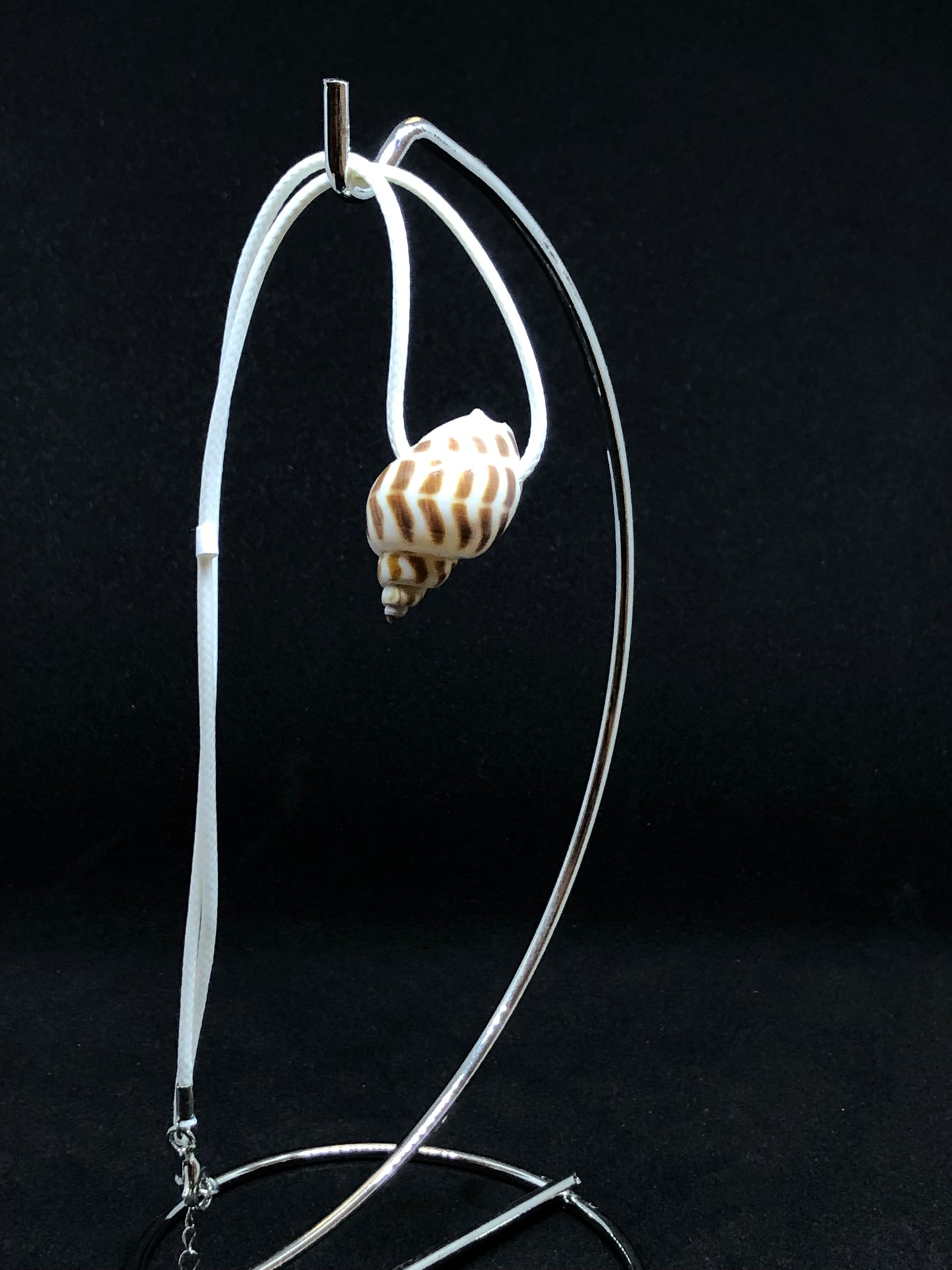 Medium Seashell - White Cord Necklace