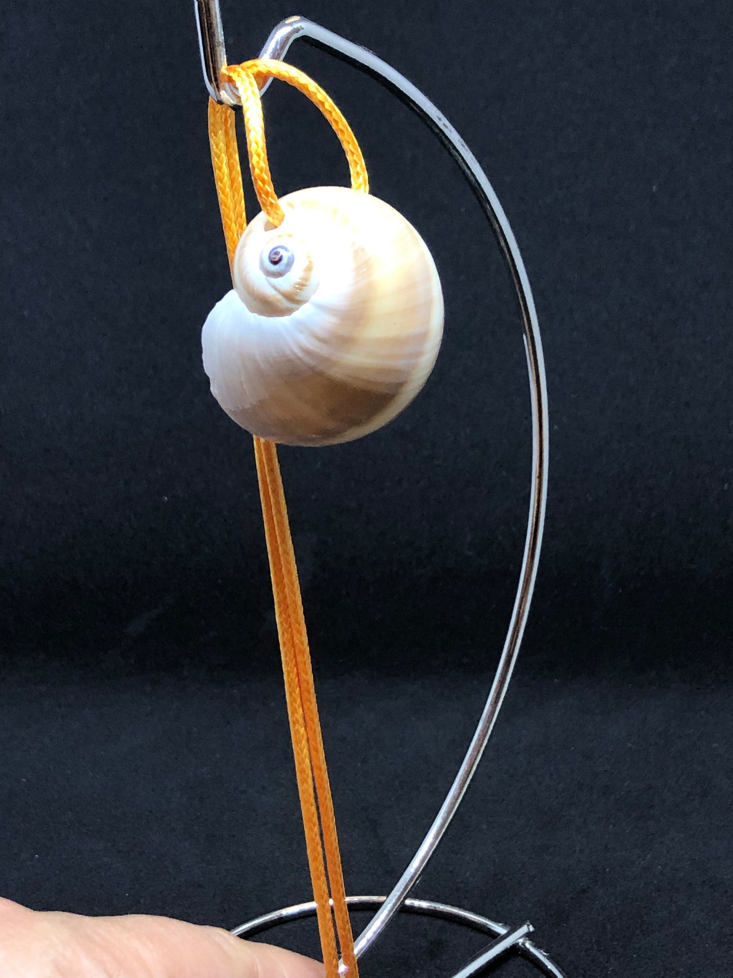 Medium Seashell - Orange Cord Necklace