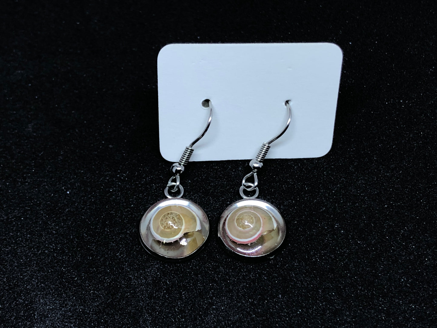 Seashell / Silver Wire Hook Earrings
