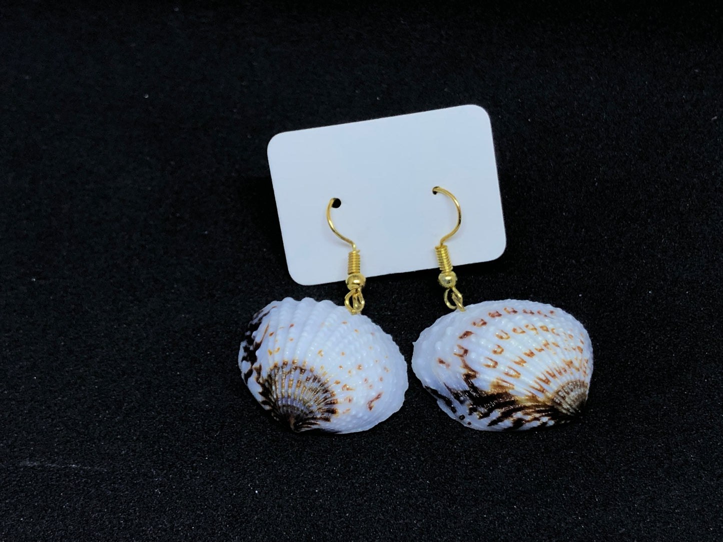 Seashell / Antique Gold Wire Hook Earrings
