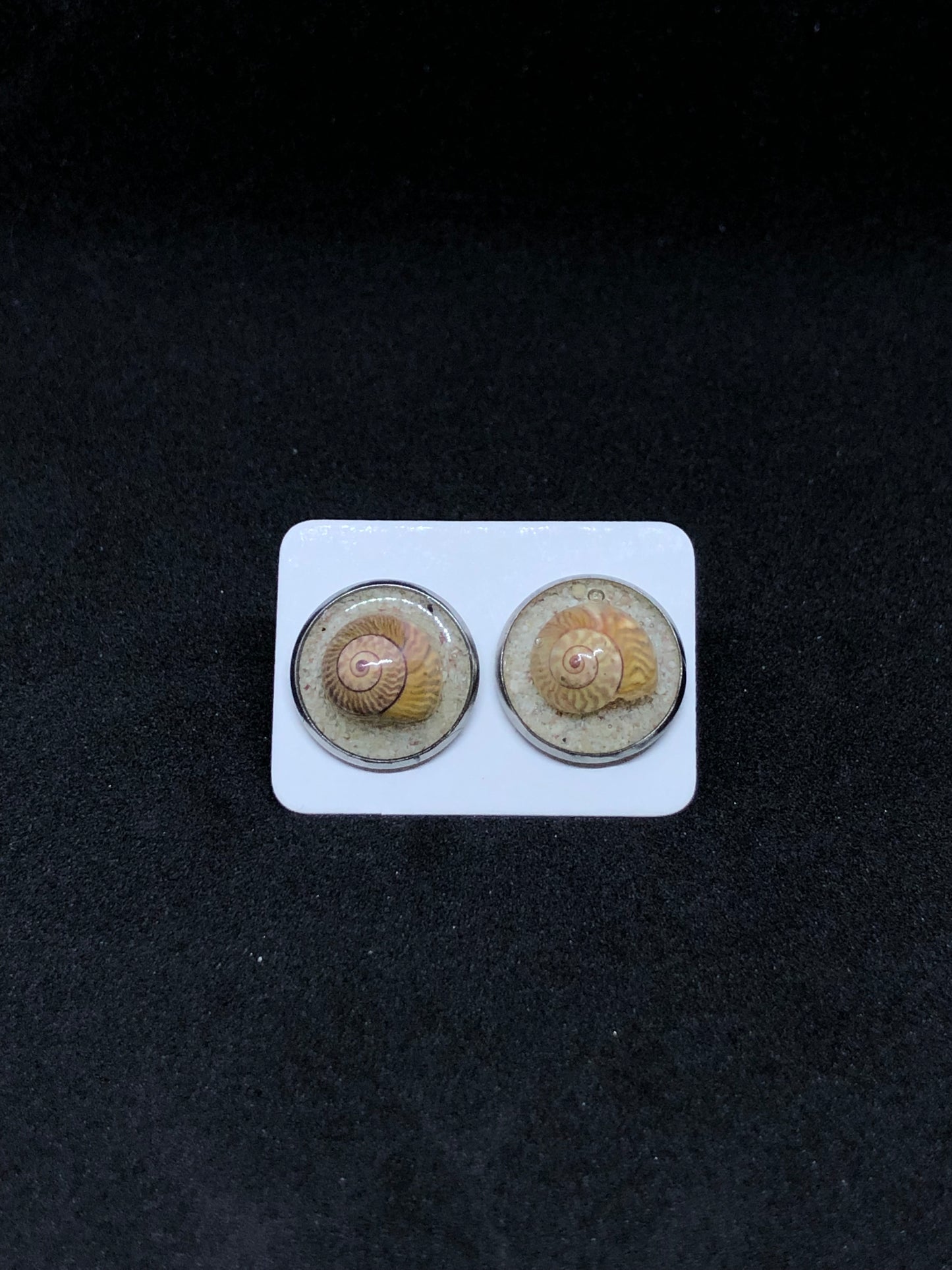 Seashell w/ Pink Sand / Silver Stud Earrings