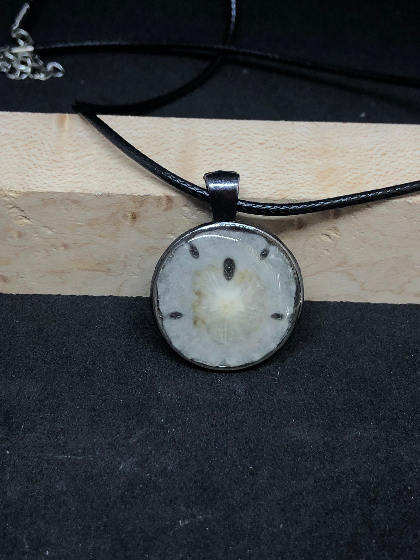Sand Dollar / Antique Silver Pendant - Black Cord Necklace