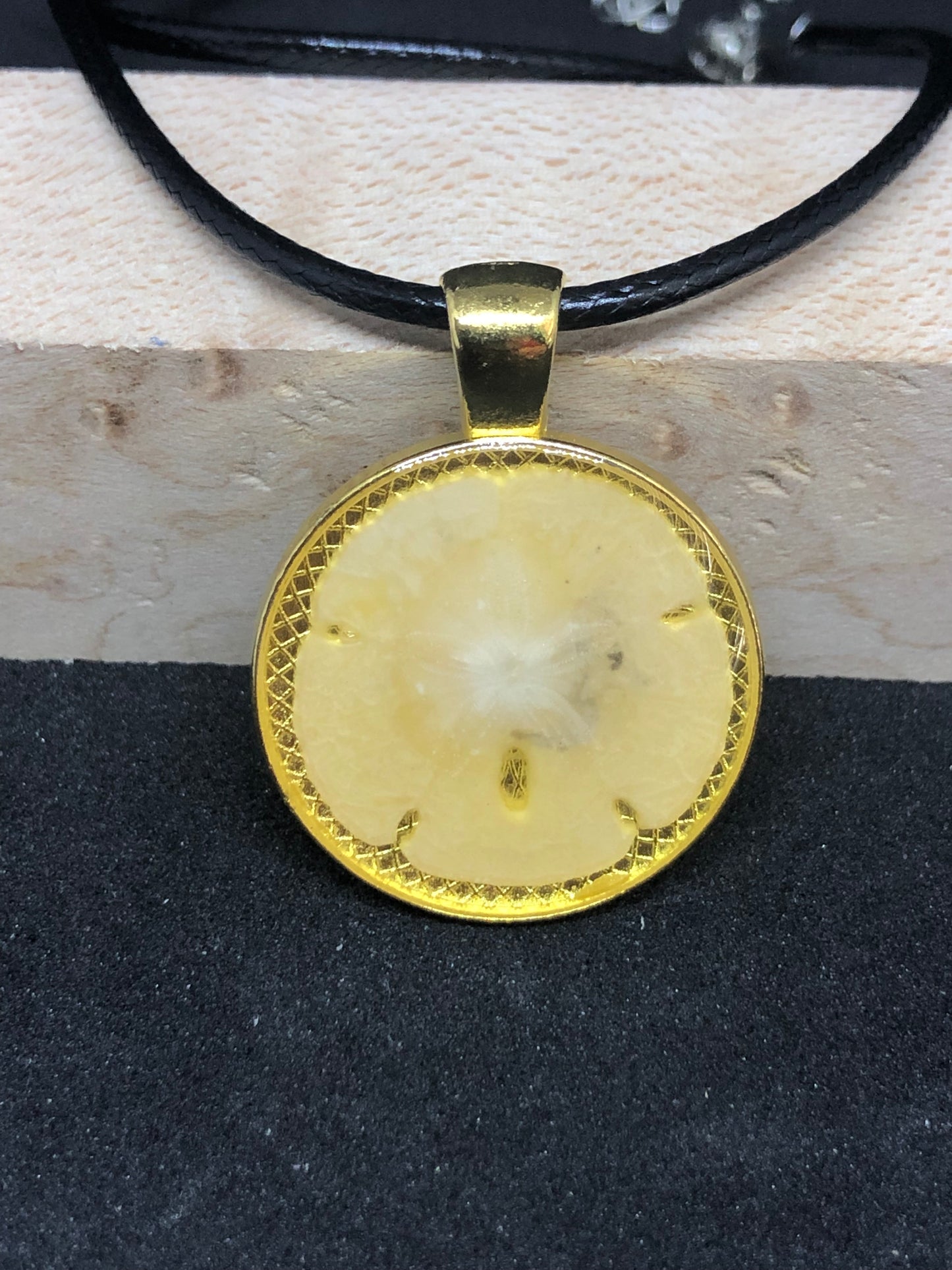 Sand Dollar / Gold Pendant - Black Cord Necklace