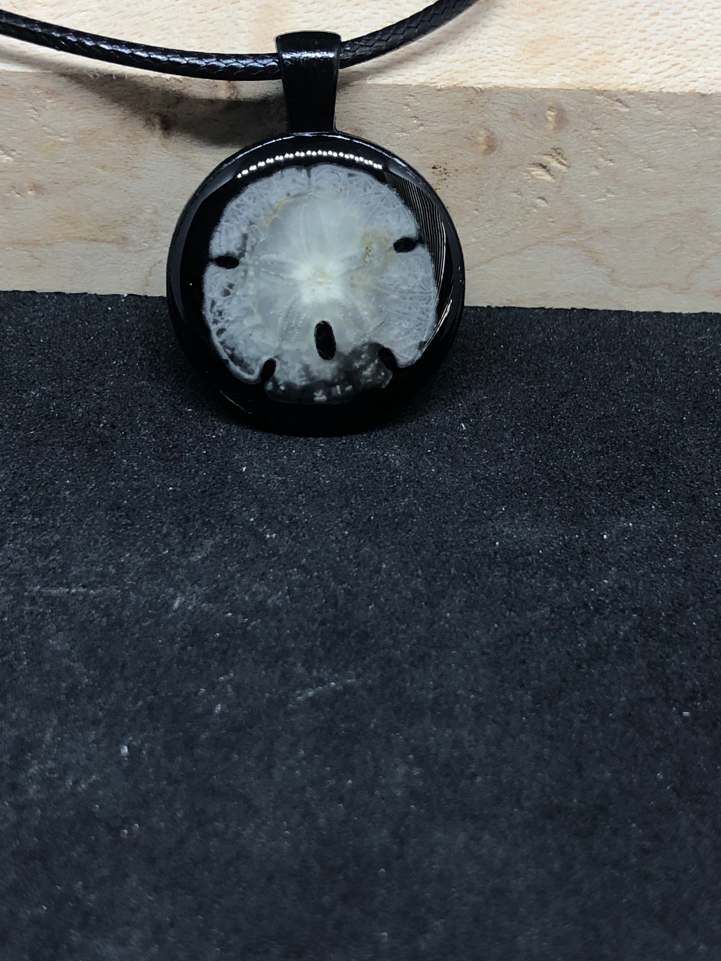 Sand Dollar / Black Pendant - Black Cord Necklace