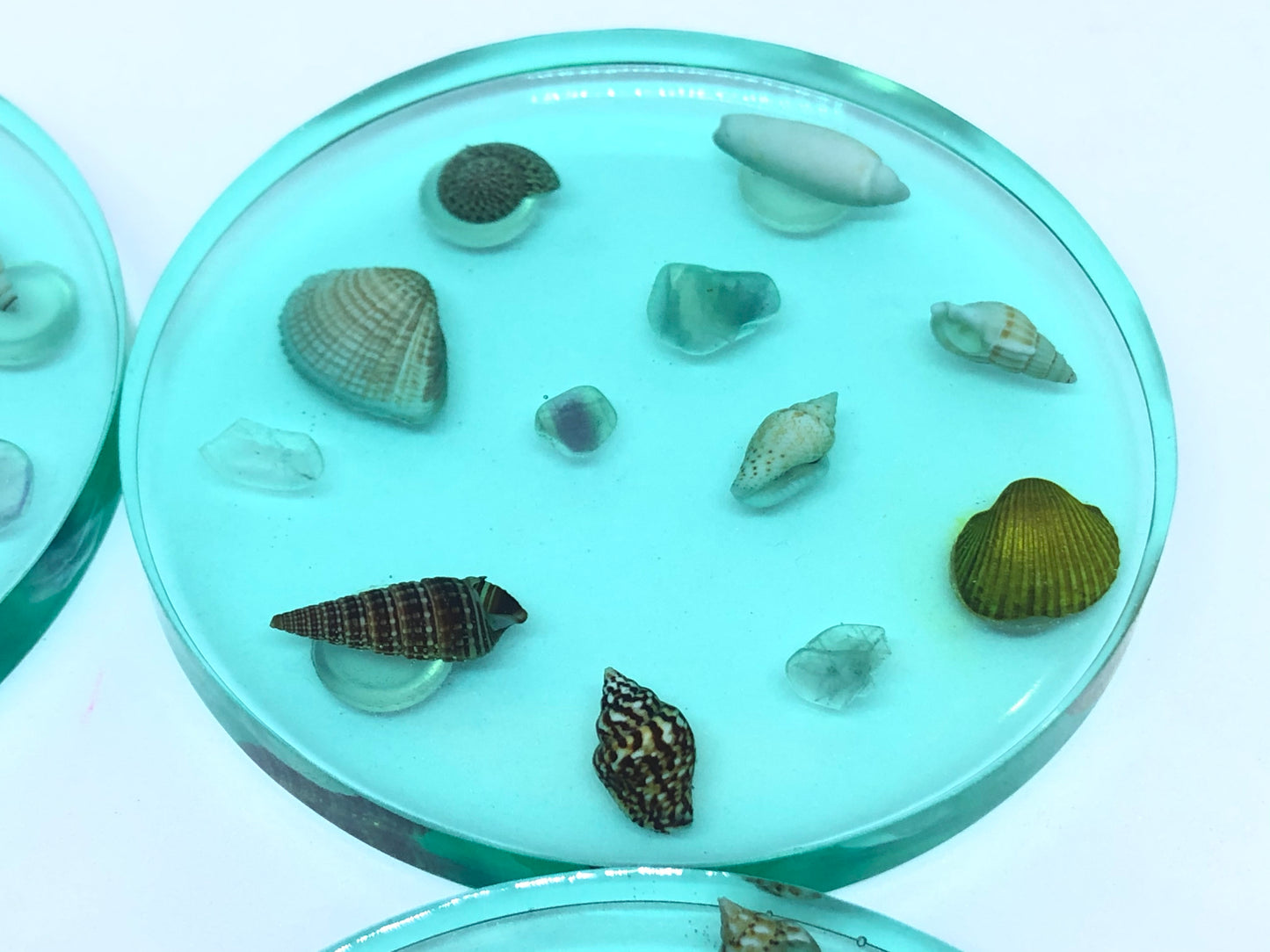 Small Round Coasters with Seashells