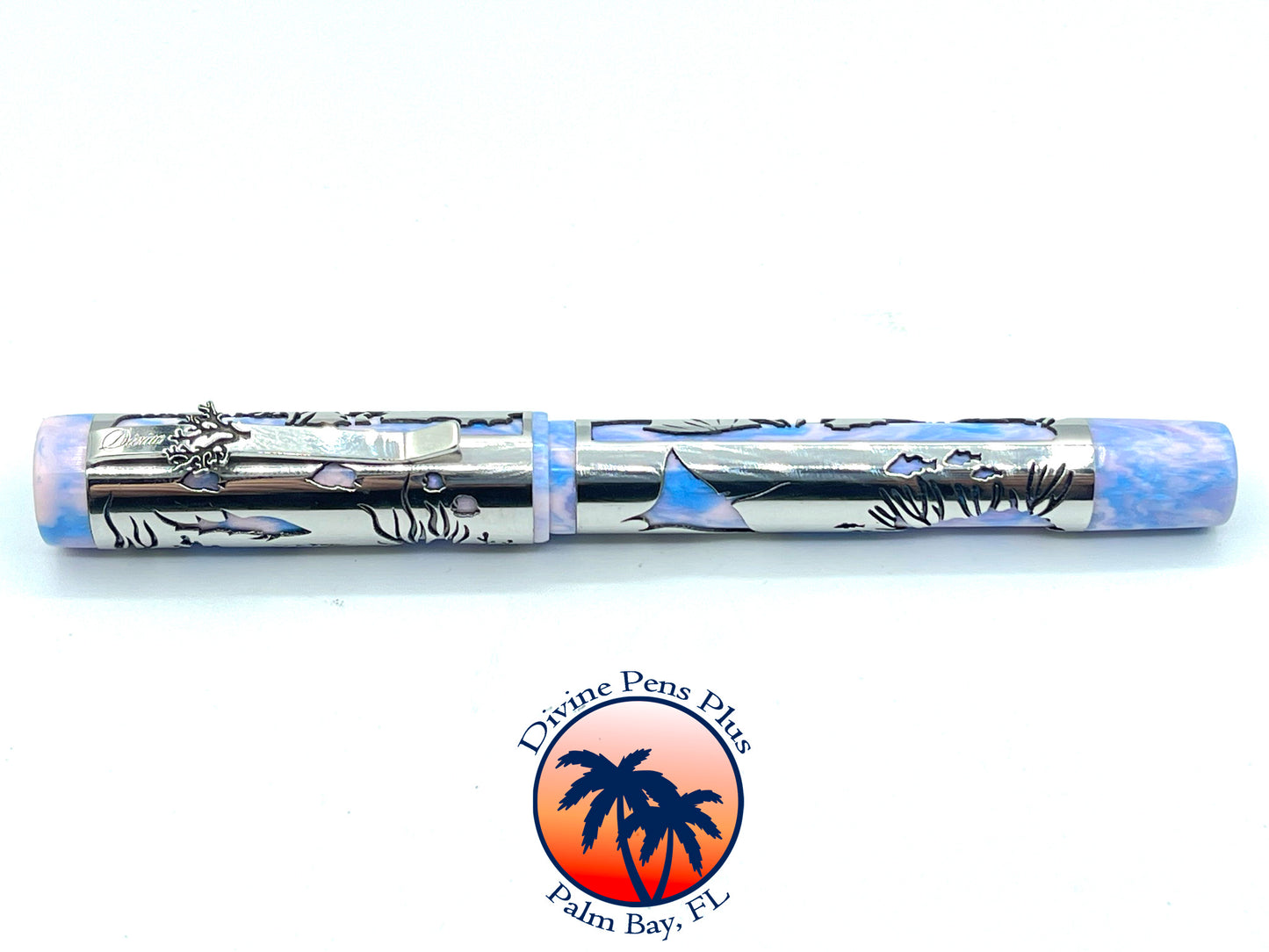 Coral Reef Fountain Pen - Stainless Steel Sleeve / Reef Lights Resin