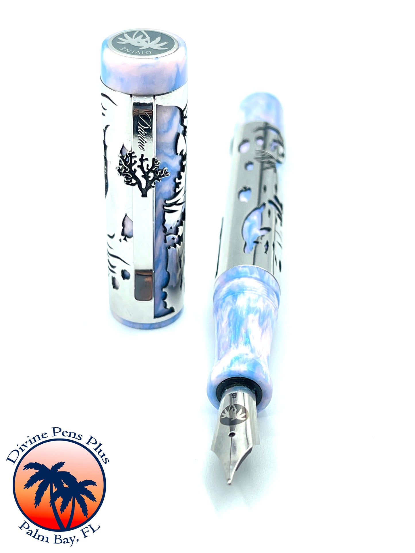 Coral Reef Fountain Pen - Stainless Steel Sleeve / Reef Lights Resin