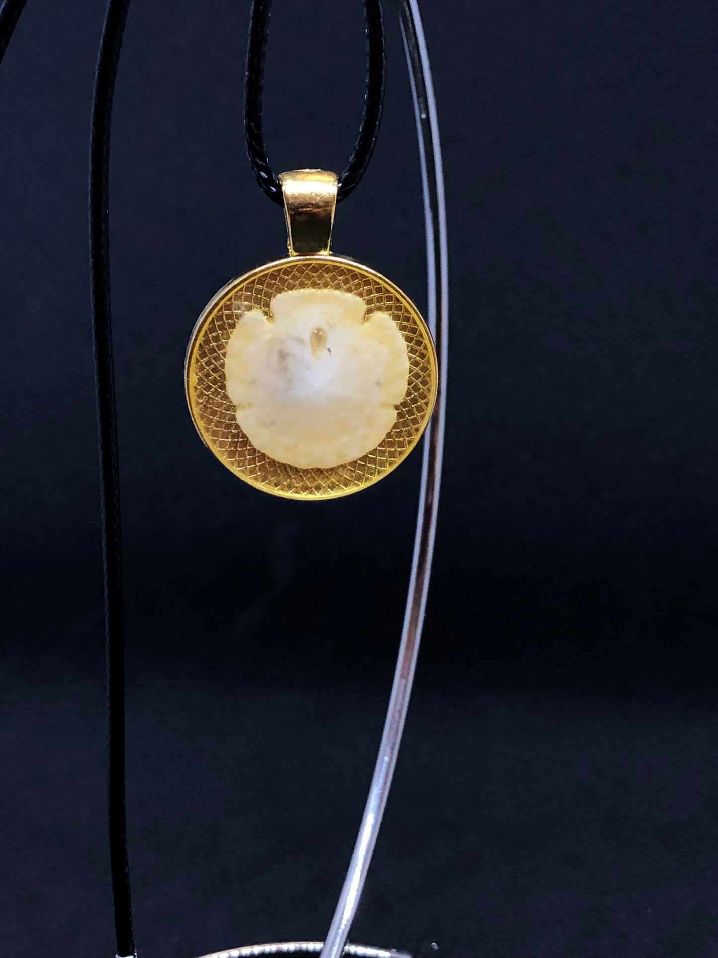 Sand Dollar / Gold Pendant - Black Cord Necklace