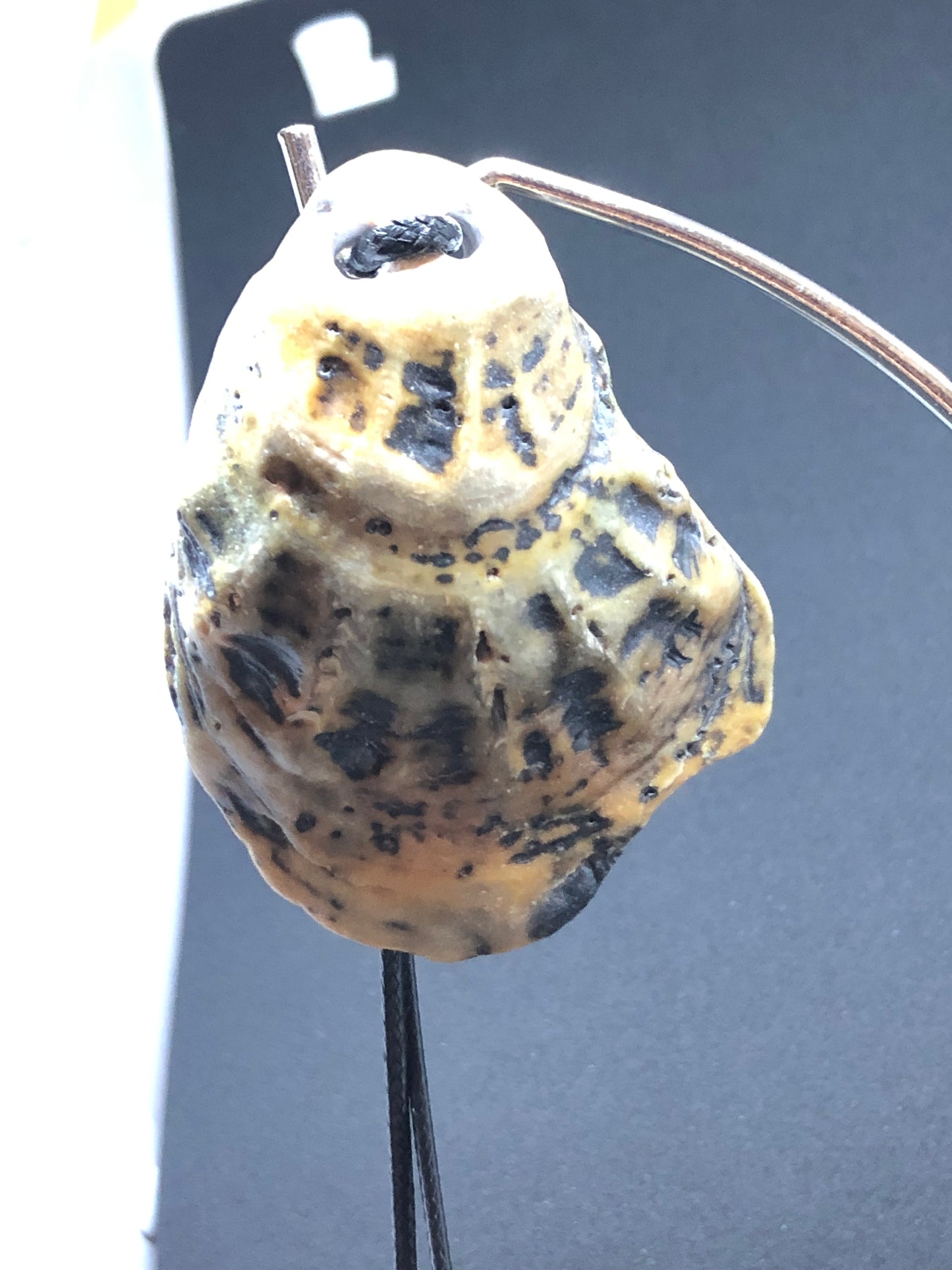 Large Seashell - Black Cord Necklace