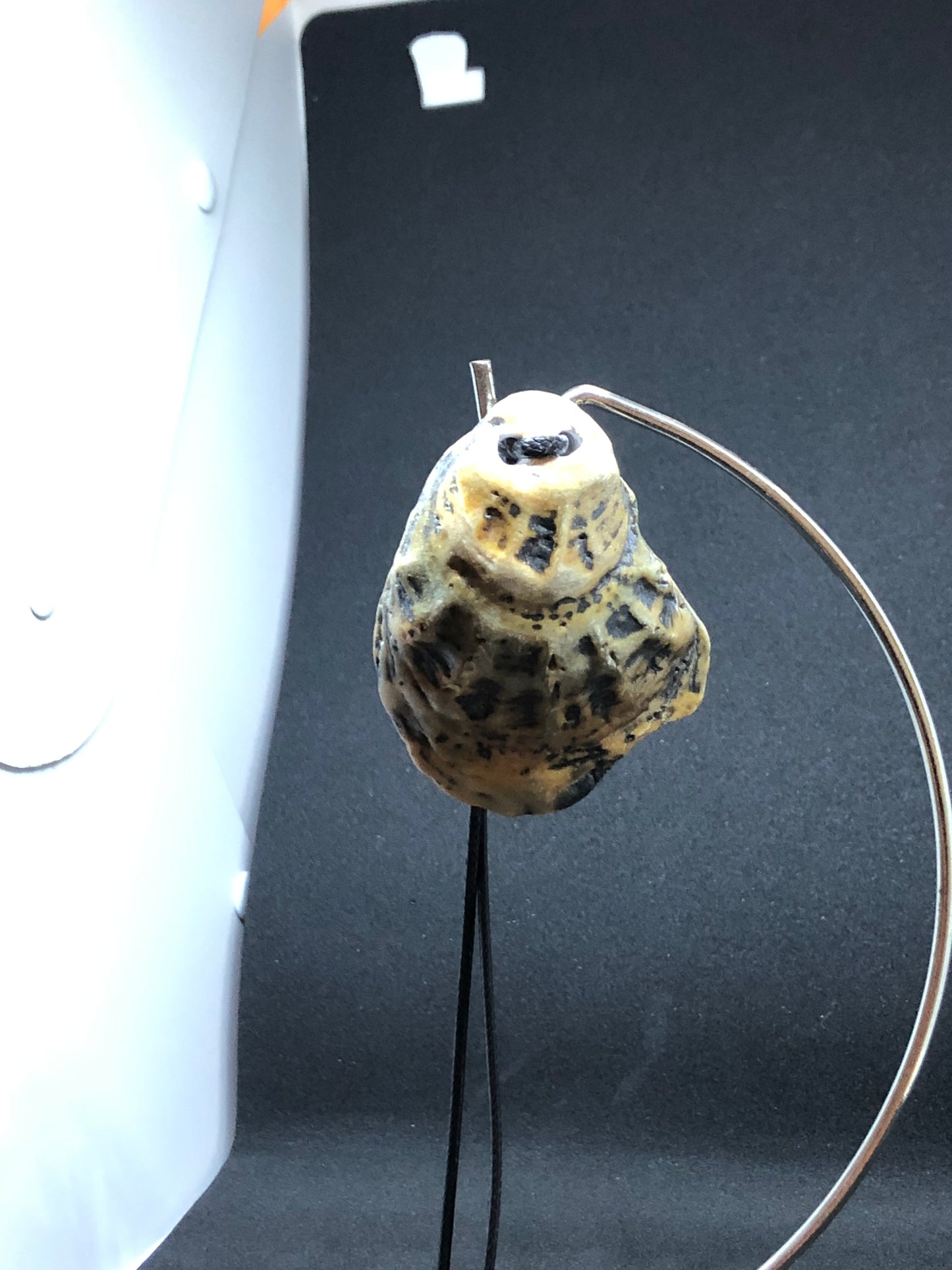 Large Seashell - Black Cord Necklace