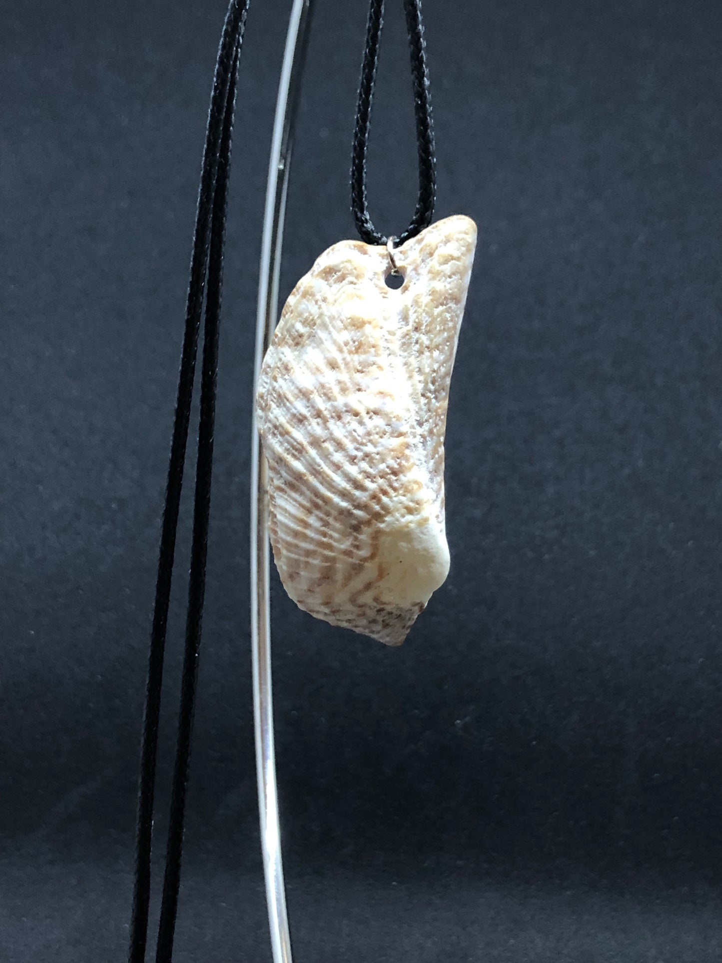 Medium Seashell - Black Cord Necklace