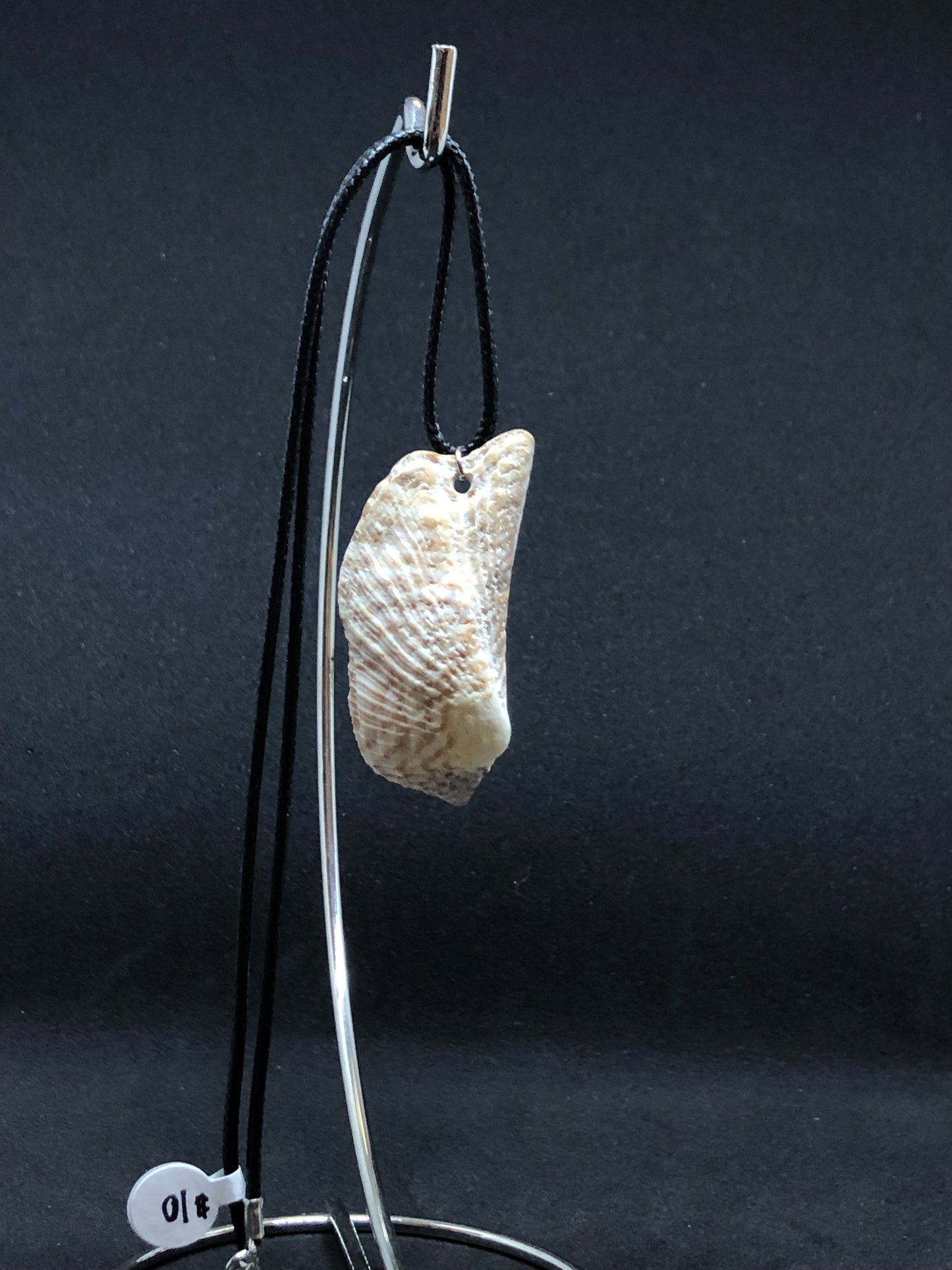 Medium Seashell - Black Cord Necklace