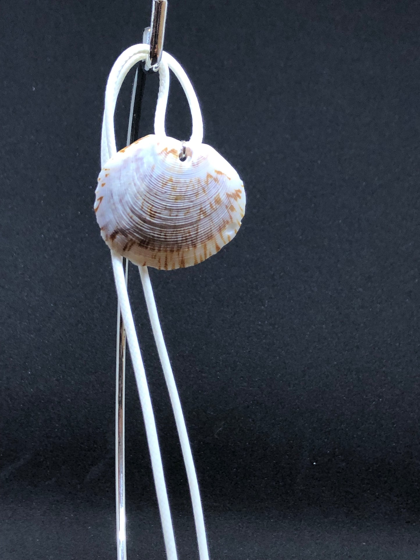 Medium Seashell - White Cord Necklace