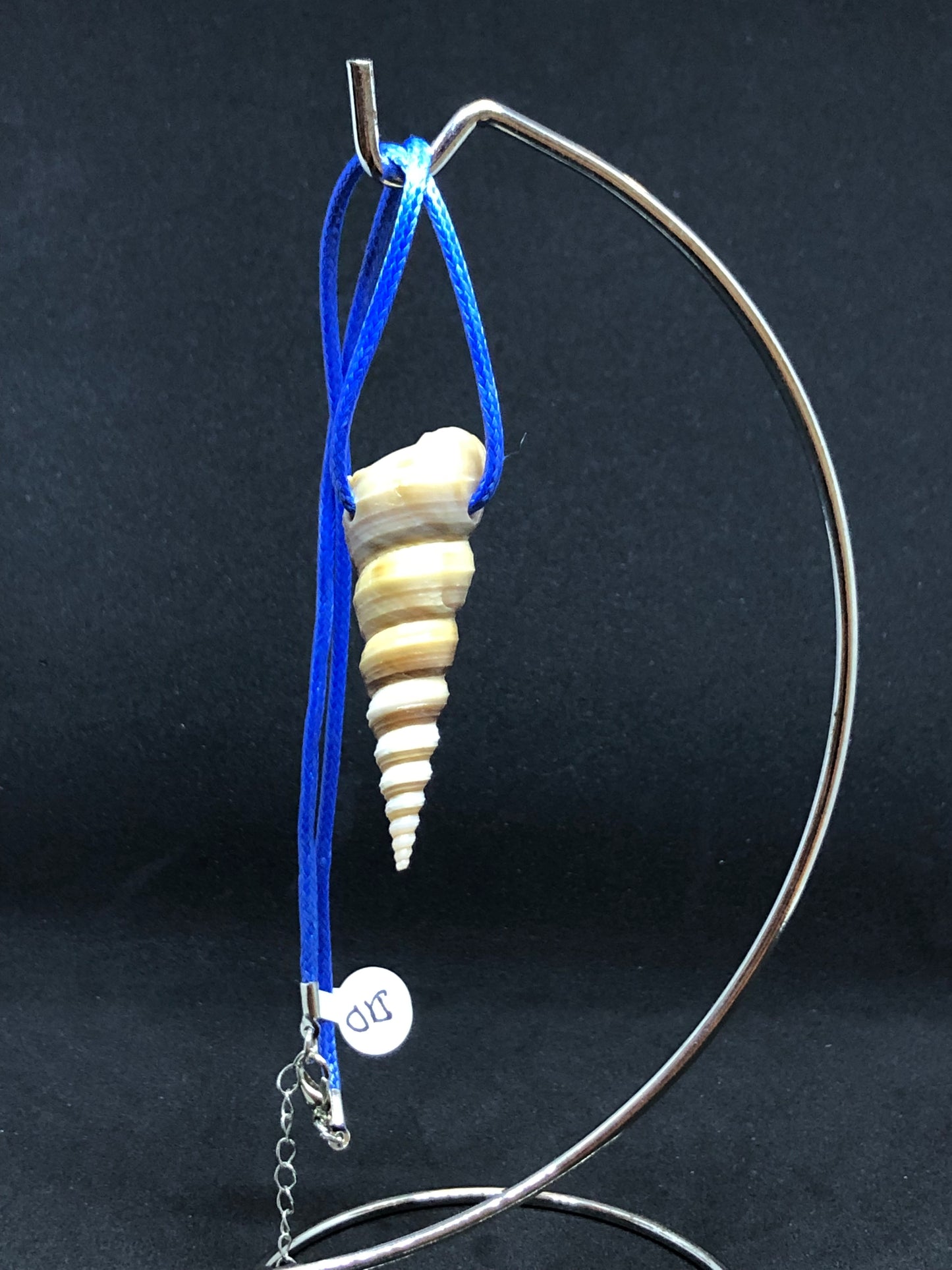 Medium Seashell - Blue Cord Necklace