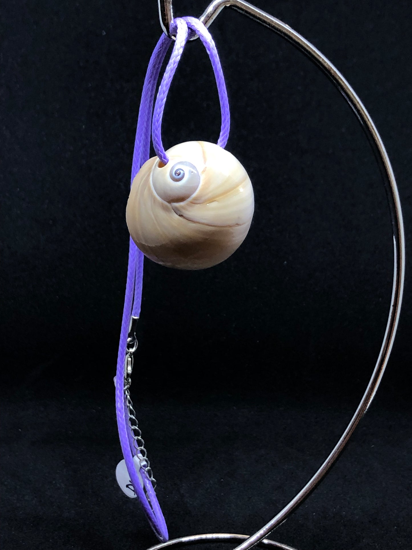 Medium Seashell - Purple Cord Necklace