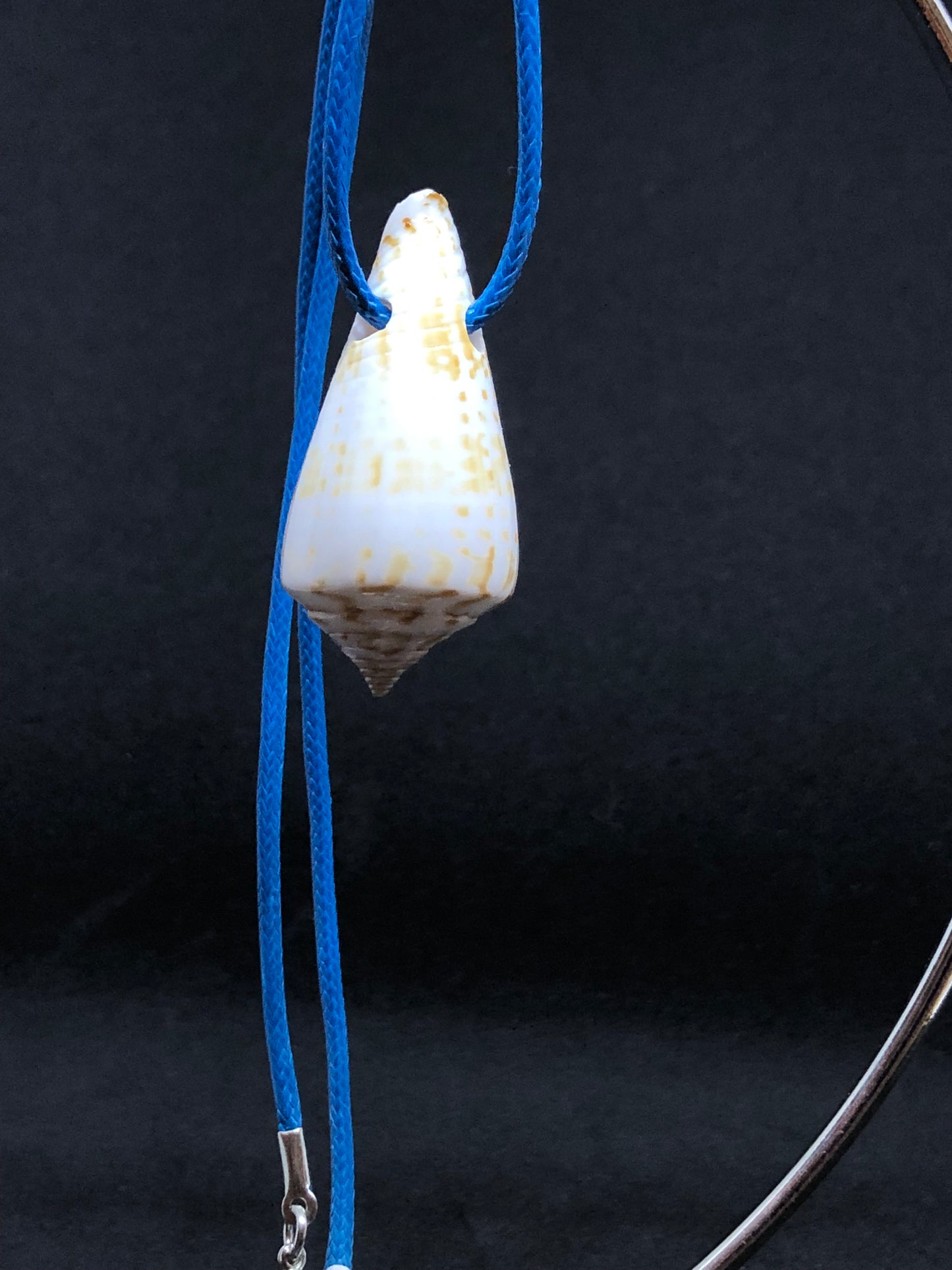 Medium Seashell - Blue Cord Necklace