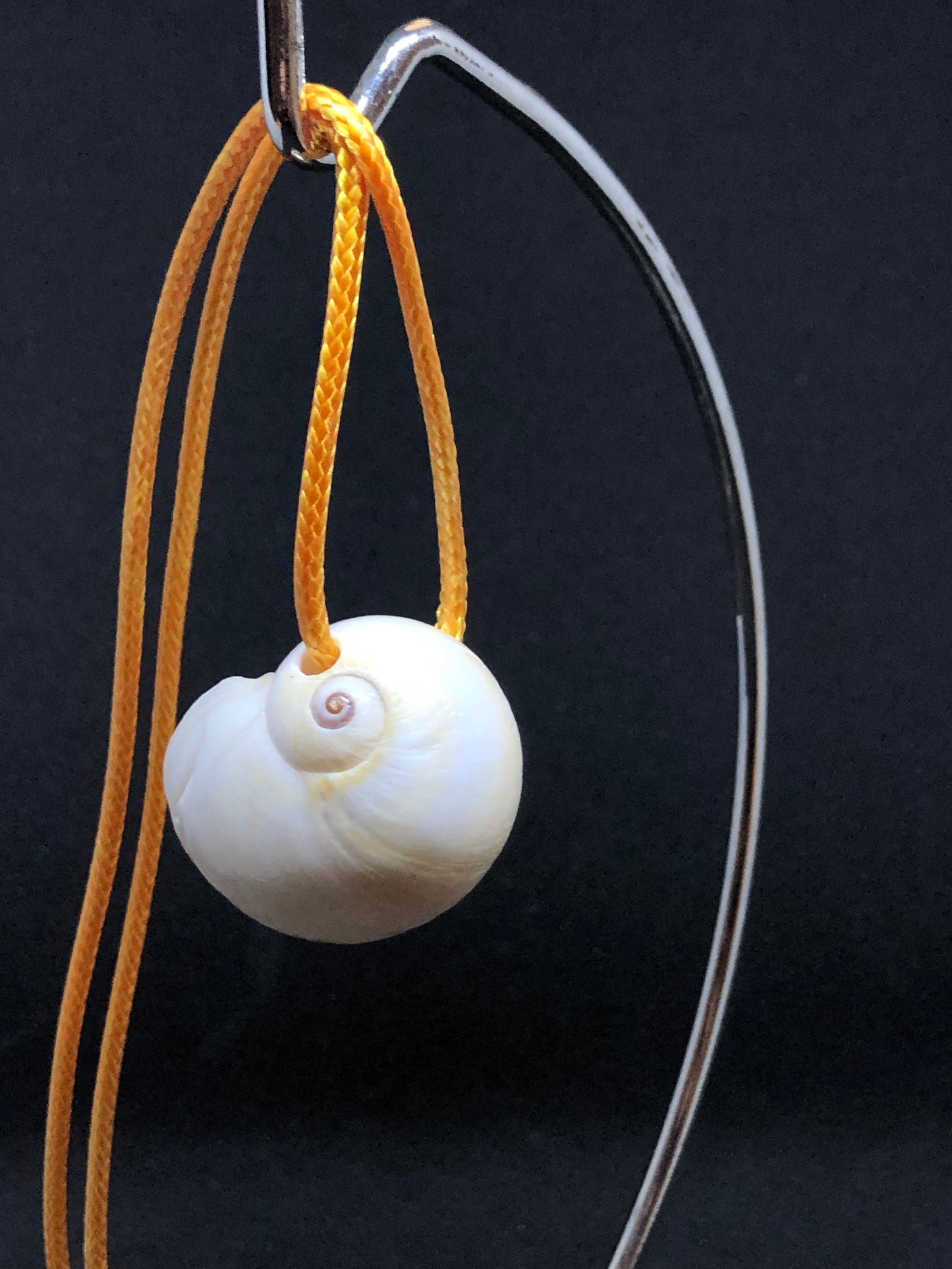 Medium Seashell - Orange Cord Necklace