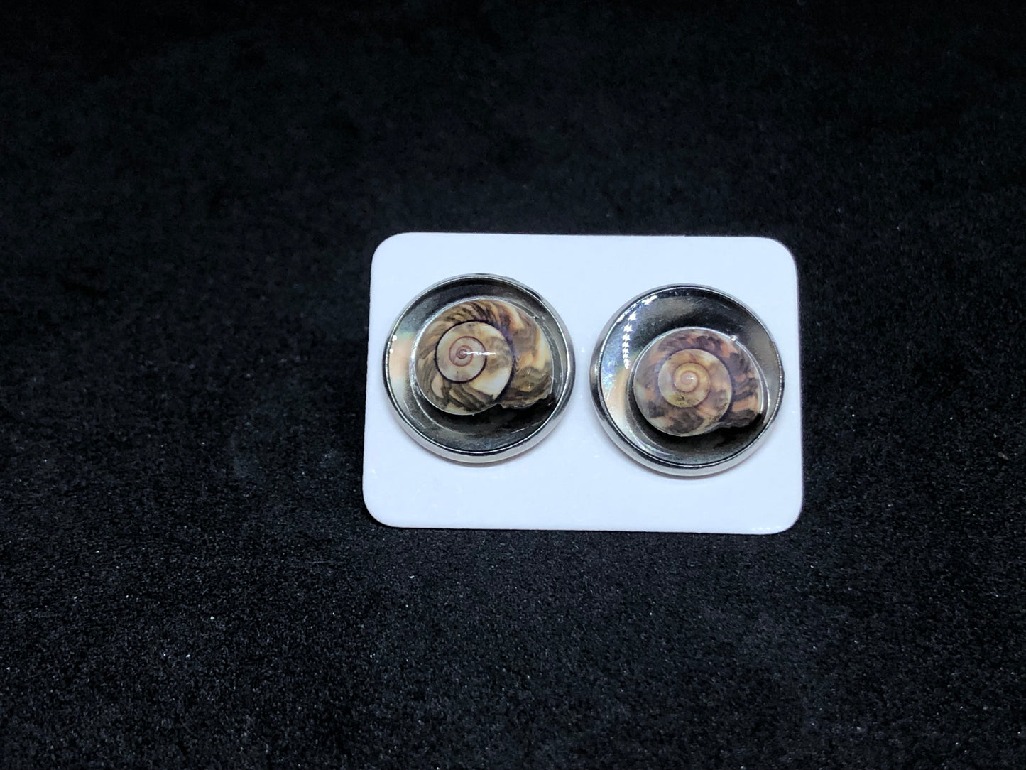 Seashell / Silver Stud Earrings