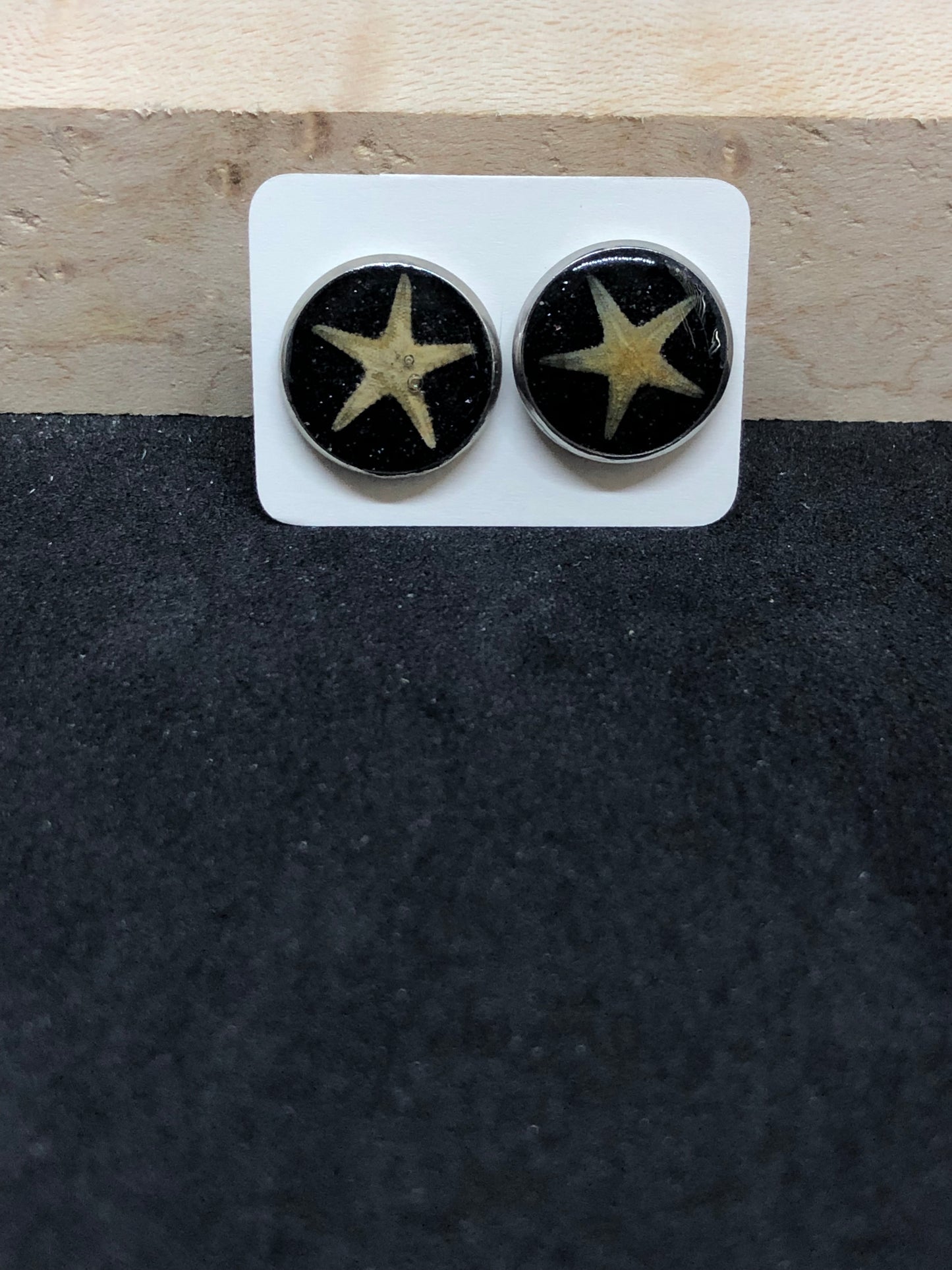 Starfish w/ Black Sand / Silver Stud Earrings