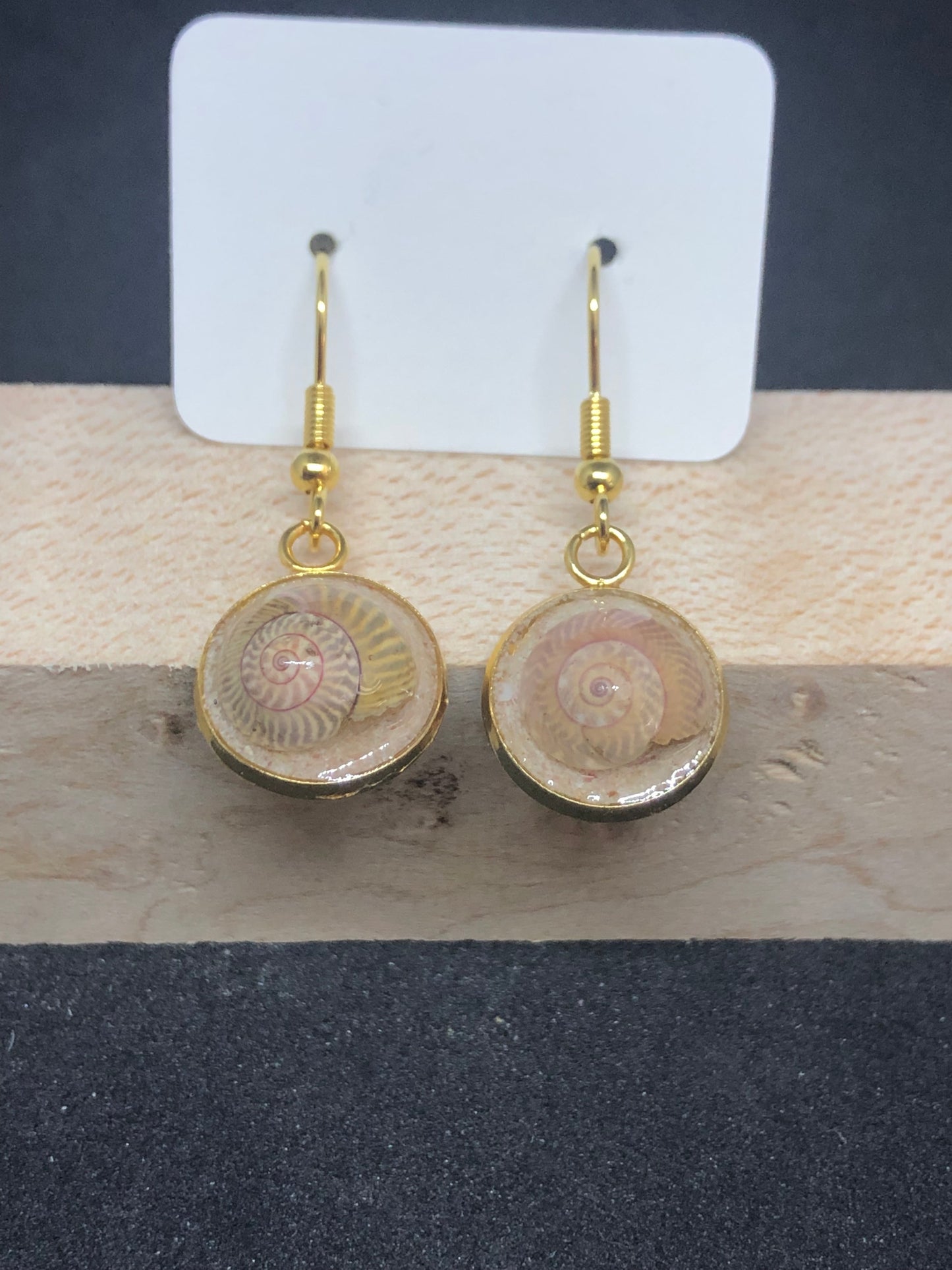 Seashell w/ Pink Sand / Gold Wire Hook Earrings