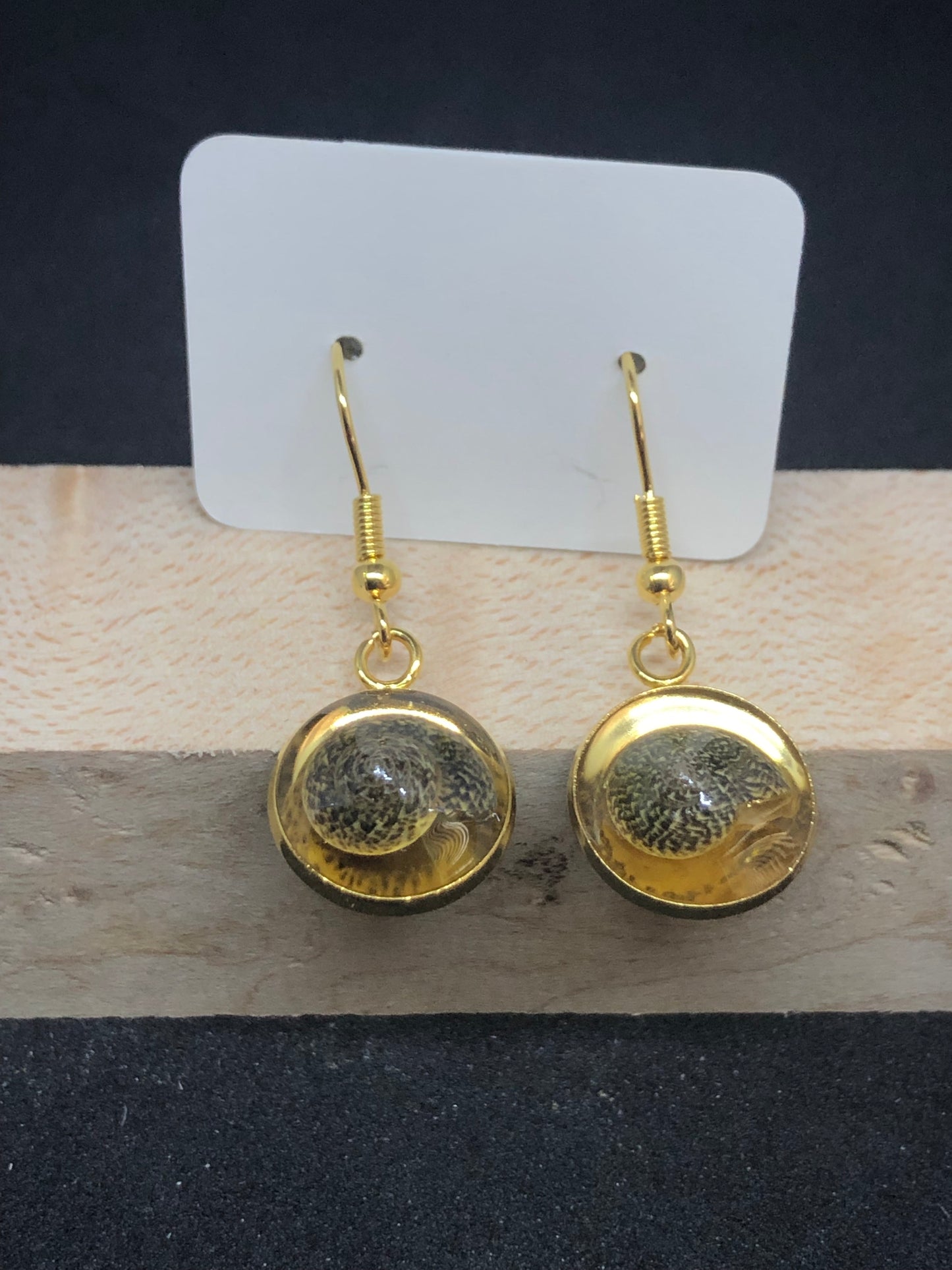 Seashell / Gold Wire Hook Earrings
