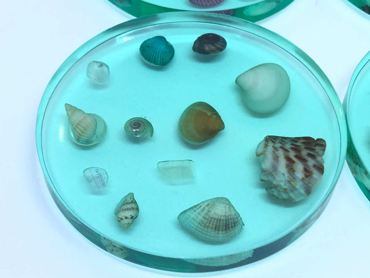 Small Round Coasters with Seashells