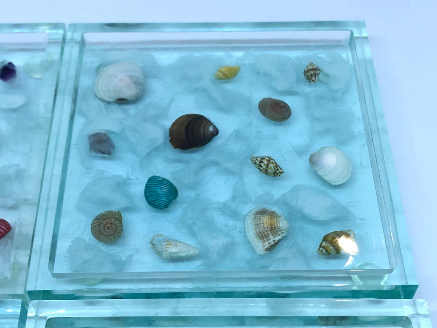 Large Square Coasters with Seashells