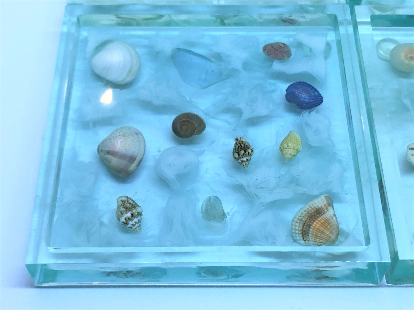 Large Square Coasters with Seashells